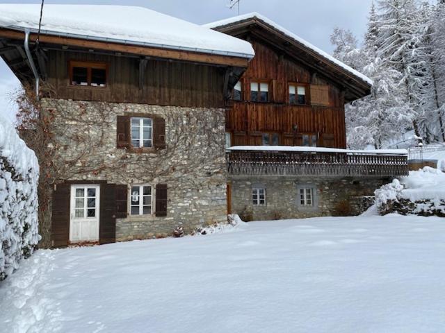 The Nest Villa Les Gets Dış mekan fotoğraf